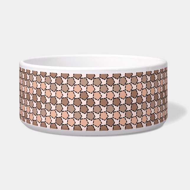 Symmetric Brown Pentagons with Dashed Borders (Left)