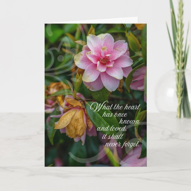 Sympathy and Comfort | Wild Irish Rose Card (Front)