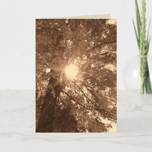 Sympathy and hope card