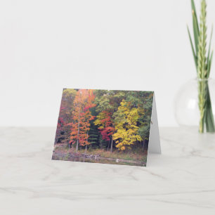 Sympathy -  Autumn trees and lake Card