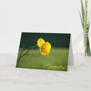 Sympathy Buttercup Design Sorry For Your Loss Card