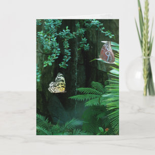 Sympathy Butterflies in a Garden Card
