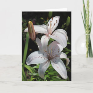 Sympathy Card