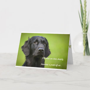 Sympathy card features Flatcoat Retriever