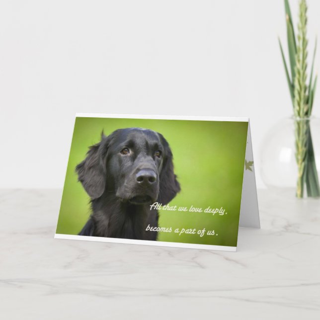 Sympathy card features Flatcoat Retriever (Front)