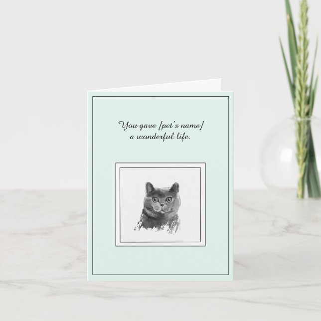 Sympathy Card for a  British Shorthair Cat (Front)