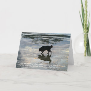 Sympathy Card for Dog Passing