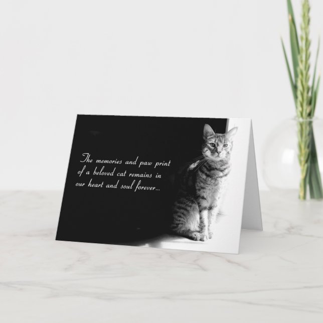 Sympathy card for the loss of a beloved pet cat (Front)