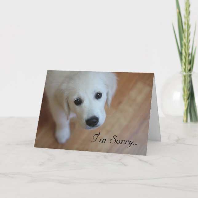 Sympathy card, I'm Sorry for... Thank You Card (Front)