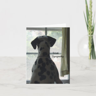 Sympathy Card -- Loss of Dog