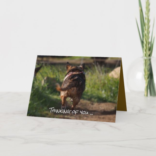 Sympathy card - pet (Front)