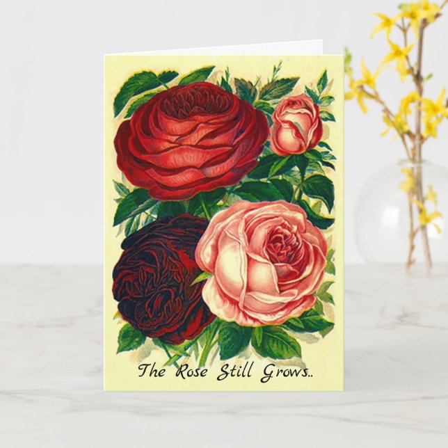 Sympathy Card The Rose Still Grows Beyond the Wall (Yellow Flower)