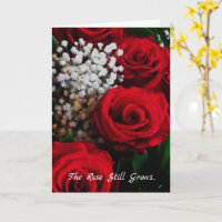 Sympathy Card The Rose Still Grows Beyond the Wall