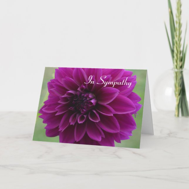 Sympathy card with close up of purple dahlia (Front)