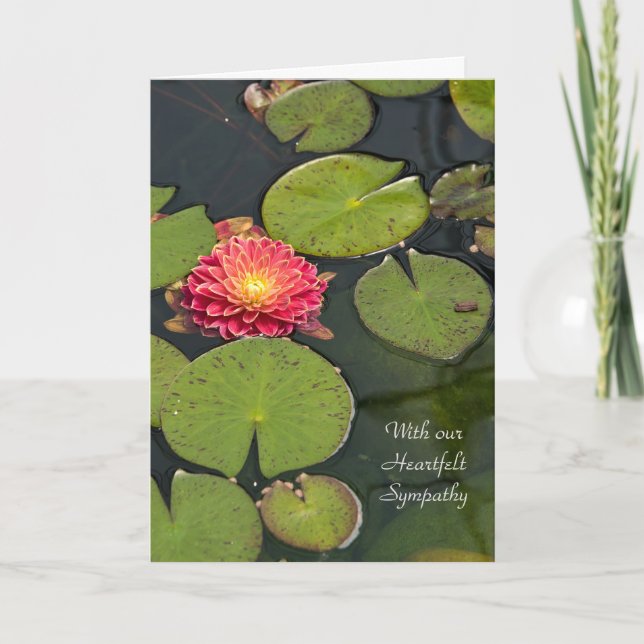 Sympathy Dahlia in lily pads Card (Front)