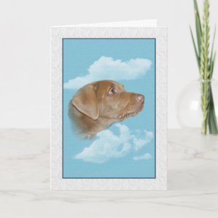 Sympathy for Loss of Pet Card