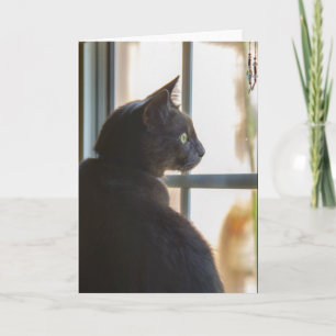 Sympathy for loss of pet greeting card blank