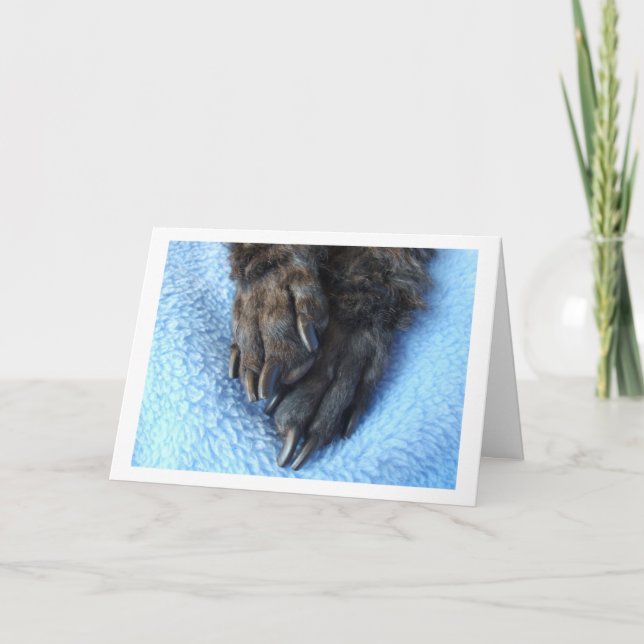 Sympathy For Loss Of Pet Poodle Paws Blanket Card (Front)