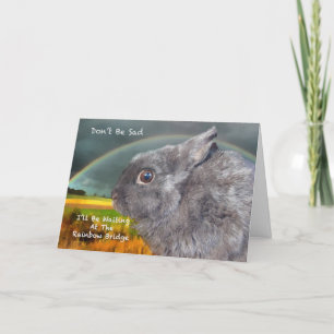 Sympathy for loss of pet rabbit card