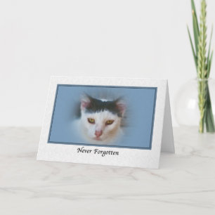 Sympathy for Loss of Pet with Cat Card