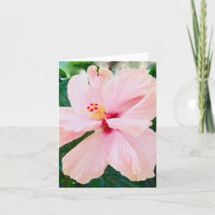Sympathy Funeral Pink Flower Card
