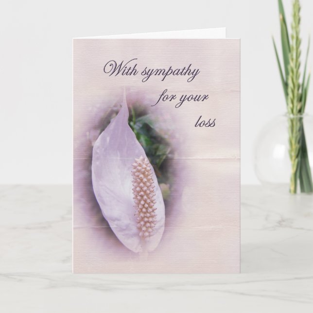 Sympathy Greeting Card - White Anthurium (Front)