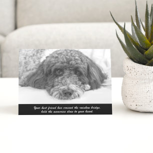 Sympathy Labradoodle Greeting Card