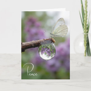 Sympathy Lilacs Reflecting in a Raindrop  Card