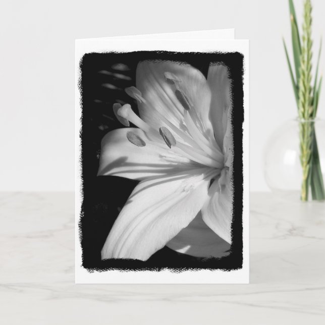 Sympathy Lily Card (Front)