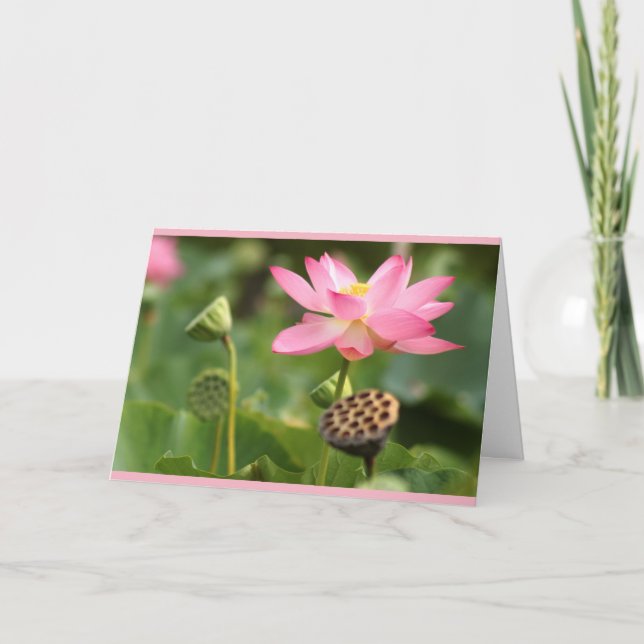 sympathy lotus card (Front)
