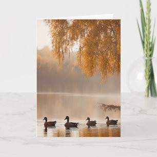 Sympathy Misty Autumn Lake With Ducks Card