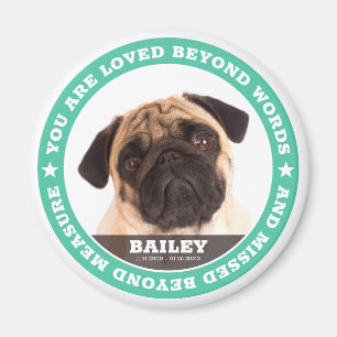 Sympathy Modern Simple Custom Pet Photo Keepsake Magnet
