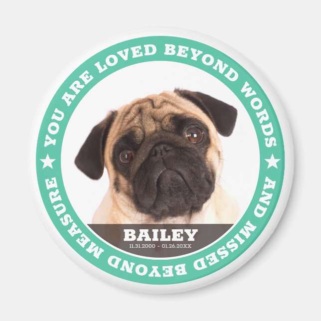 Sympathy Modern Simple Custom Pet Photo Keepsake Magnet (Front)