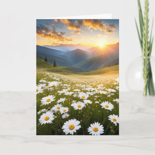 Sympathy Mountain Daisy Field  Card