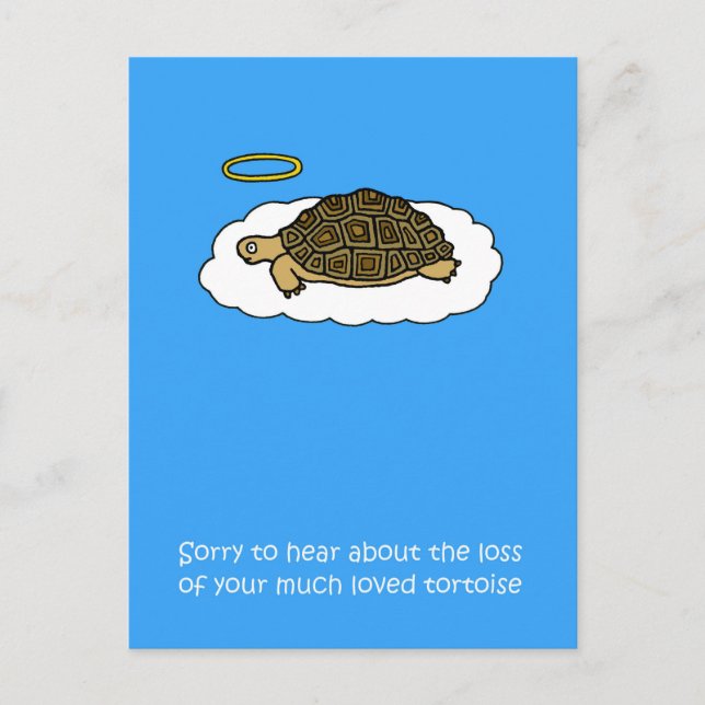 Sympathy on Loss of Pet Tortoise Postcard (Front)