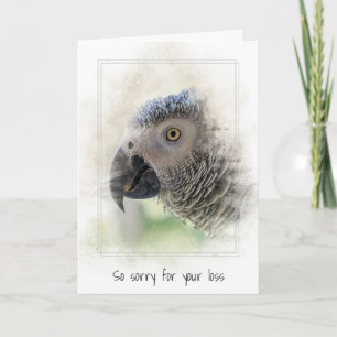 Sympathy Pet Loss of African Grey Parrot Card