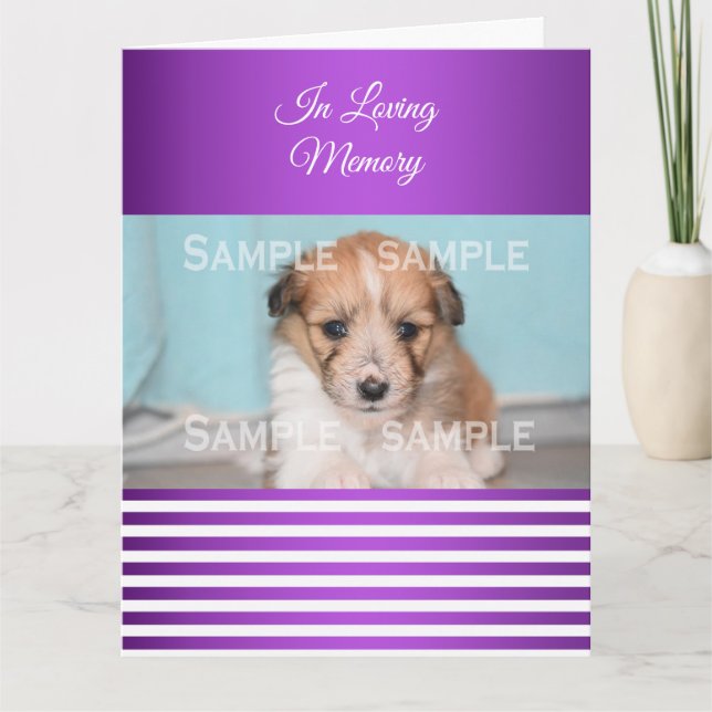 Sympathy pet loss purple white | Photo Card (Front)