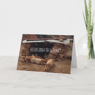 Sympathy Pig Greeting Card