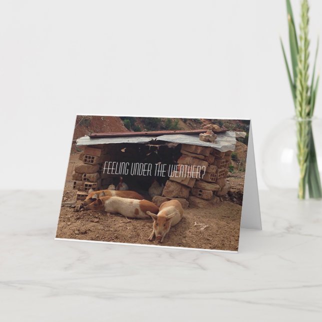 Sympathy  Pig Greeting Card (Front)