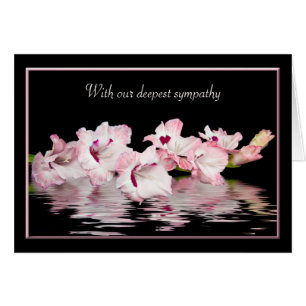 Sympathy Pink Gladiolus Water Reflection