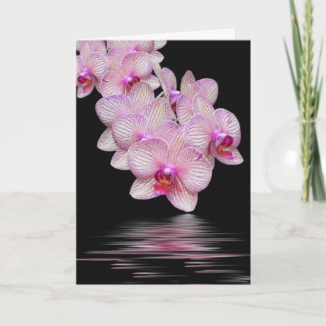 Sympathy Pink Orchids Black Reflection Card (Front)