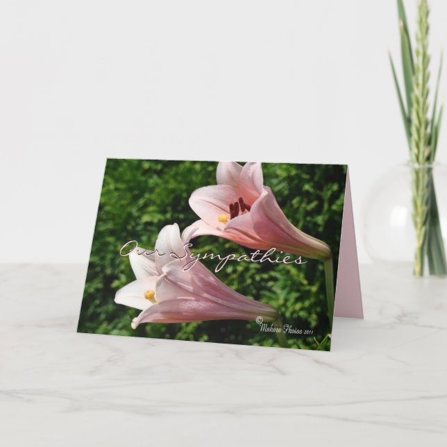 Sympathy- Pk Trumpet Lily- customize any occasion Card (Front)