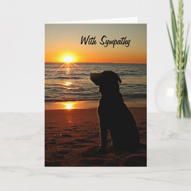Sympathy - Sunset and Dog on Beach Card (Front)