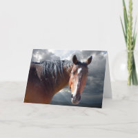 Sympathy Support & Comfort - Horse Lover