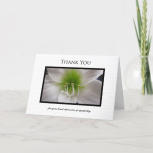 Sympathy Thank You Card - White Amaryllis