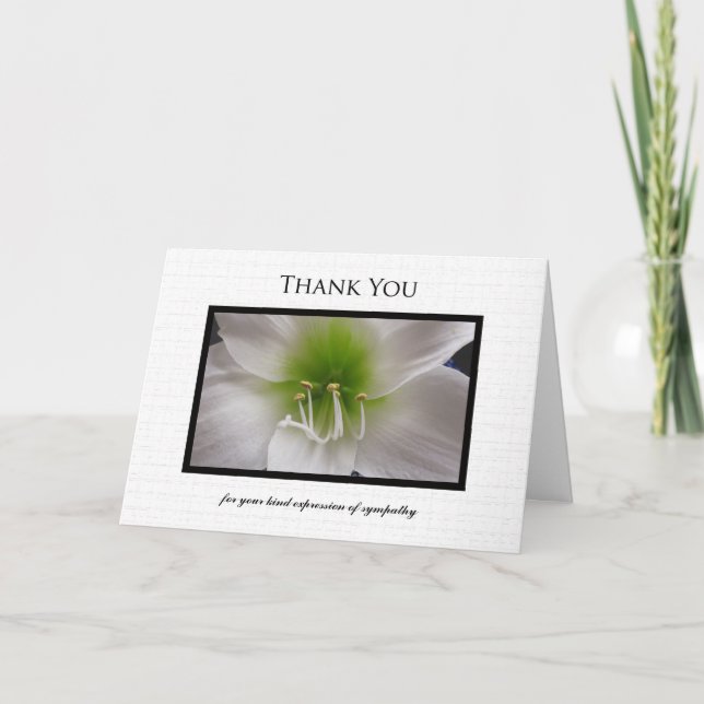Sympathy Thank You Card - White  Amaryllis (Front)