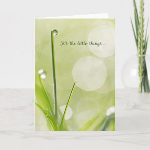 Sympathy Thank You - Dewdrop on a Blade of Grass Card