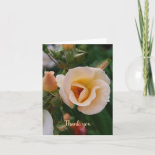 Sympathy Thank You from Family