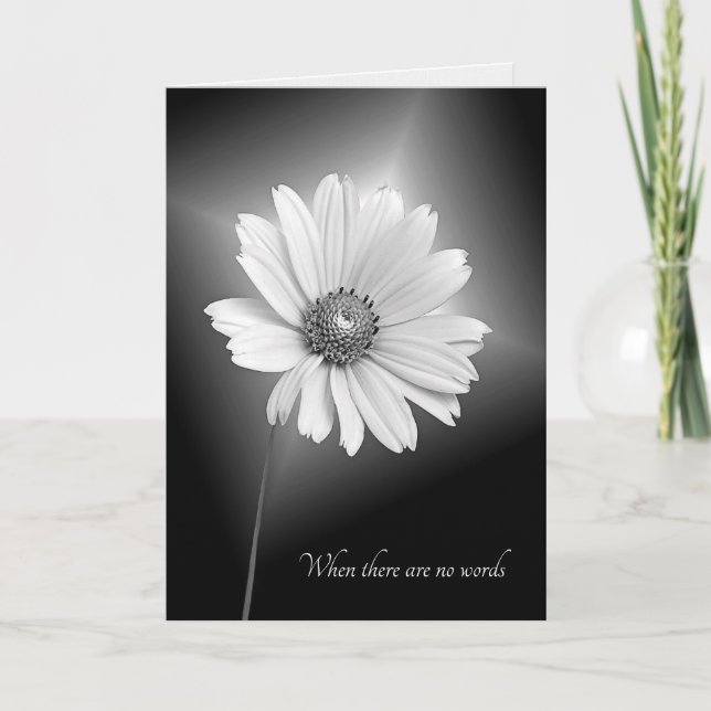 sympathy white cosmos flower card (Front)