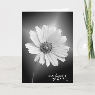 Sympathy White Cosmos on Black Card